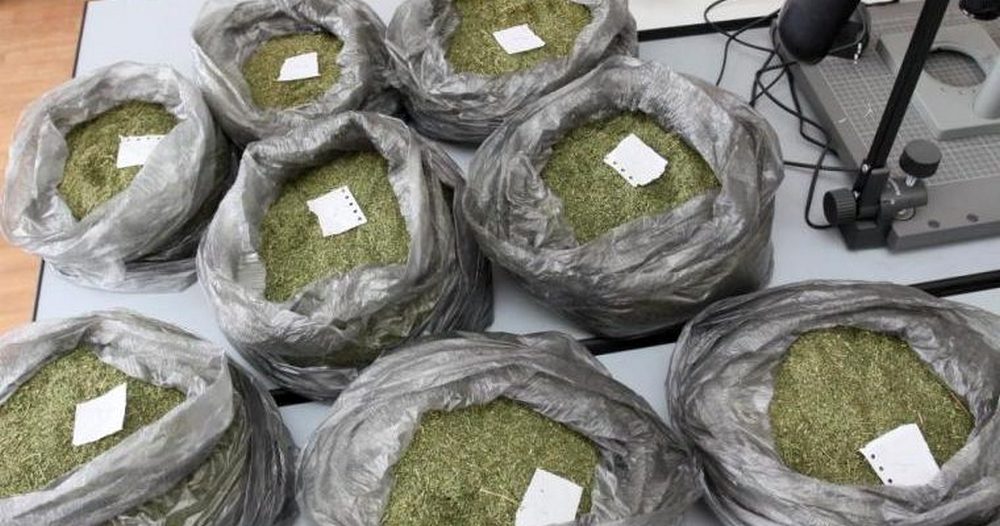 Биыл Түркістан облысында есірткінің заңсыз айналымына қатысты 383 дерек тіркелді