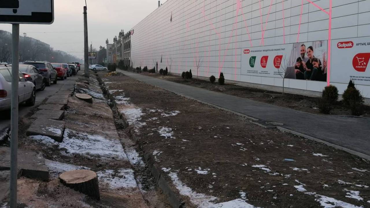 Sulpak компаниясы Алматыда 500 ағаш отырғызатын болды