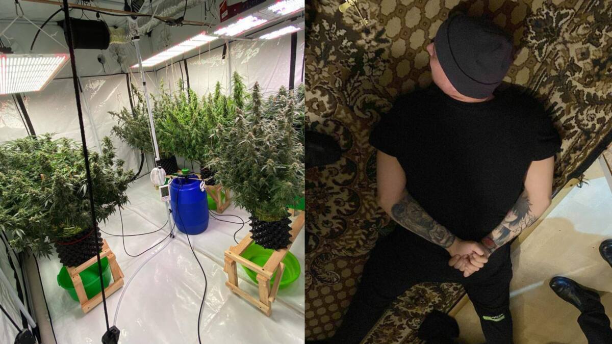 Қостанайда полицейлер қарасора өсіретін фитозертхананы анықтады