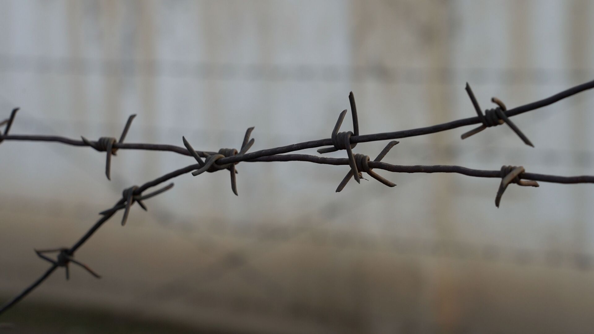 Ақмолада алаяқтық жасады деген күдікпен түрме бастығы ұсталды