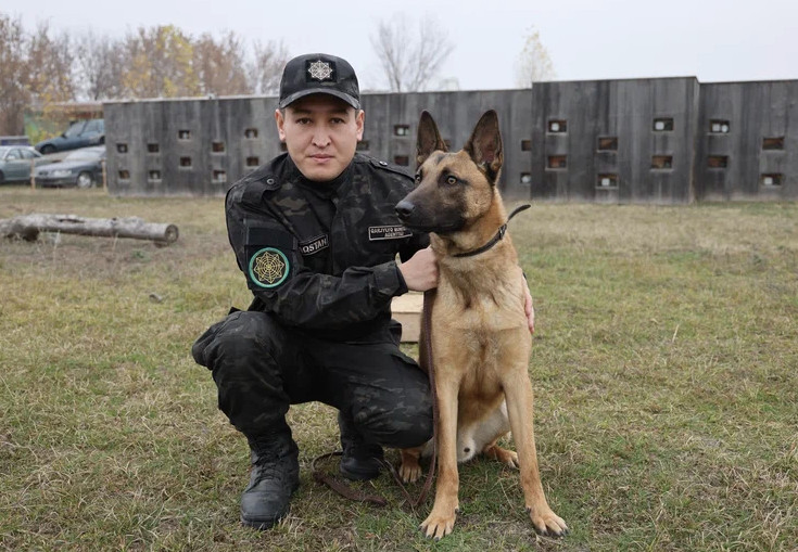 ҚМА Кинологиялық орталығының мамандары мен иісшіл иттер қоғамдағы заңдылық пен тәртіпті орнатуға өз үлесін қосуда