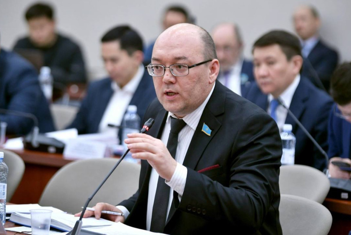Жаңа Конституция азаматтардың елдің саяси өміріне қатысу мүмкіндігін кеңейтеді – ЖСДП төрағасы