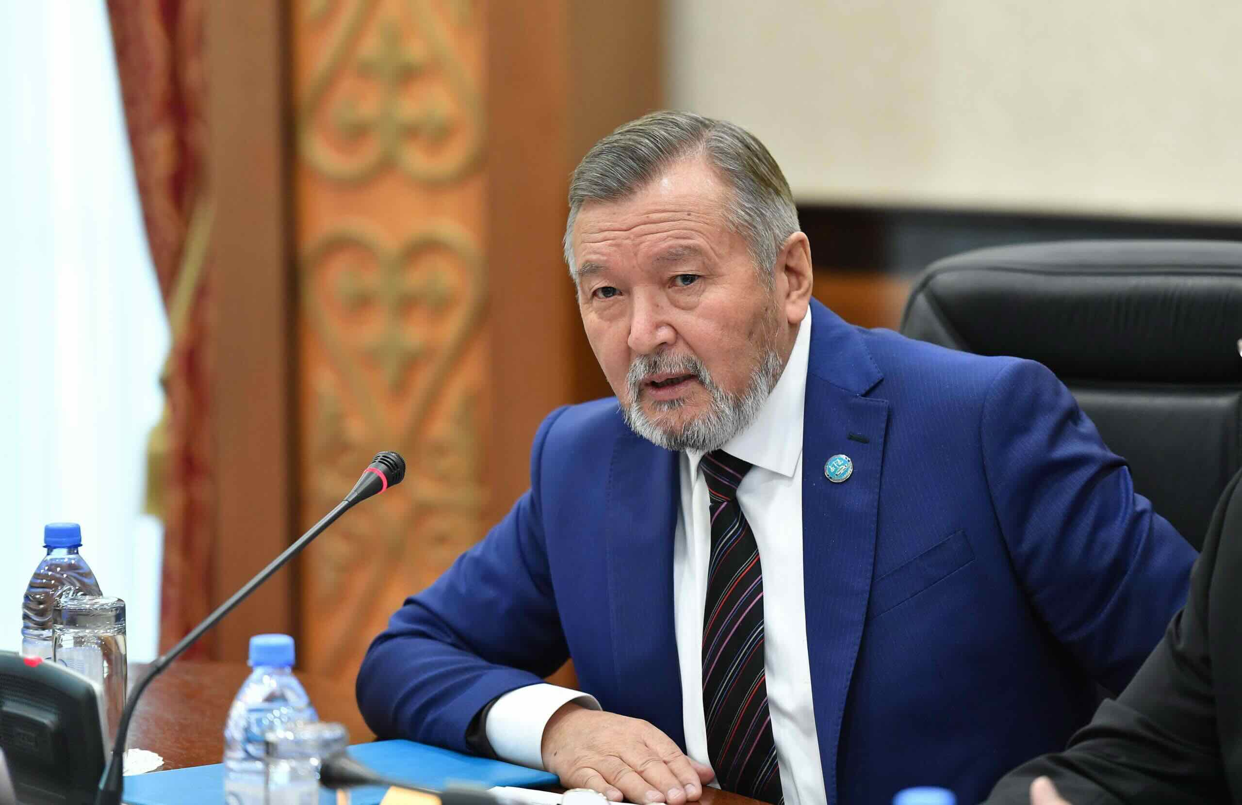 Белгілі заңгер Жаңа Конституция жобасын бүкілхалықтық референдумға шығару туралы ұсынысты қолдады