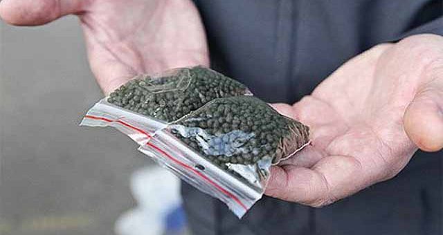 Жаңа адамдар Алматыда насыбайдың заңсыз сатылымын әшкереледі