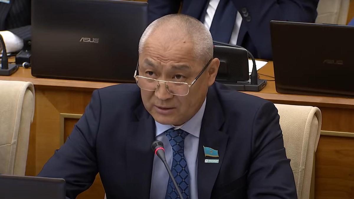 Қоғам белсенділері мен депутаттар жануарларды қорғау ұйымдарын тексеруді талап етуде