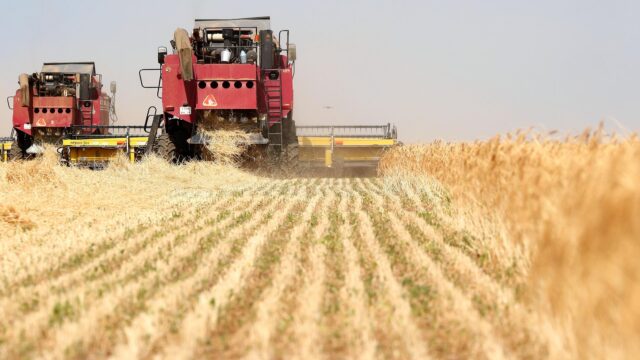 Қазақстан шикізаттан агроөңдеуге көшу үшін 53 жобаны іске қосты